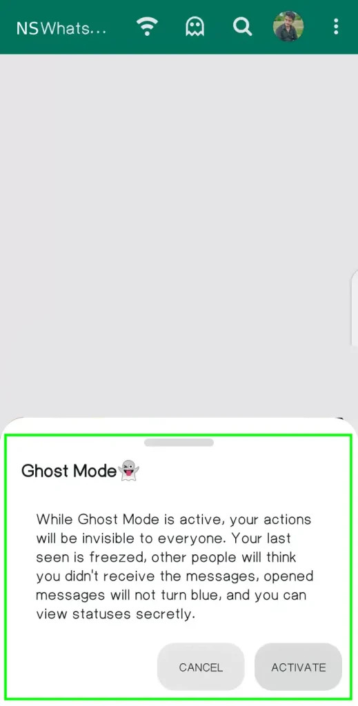 Methods to activate DND mode on NS whatsapp