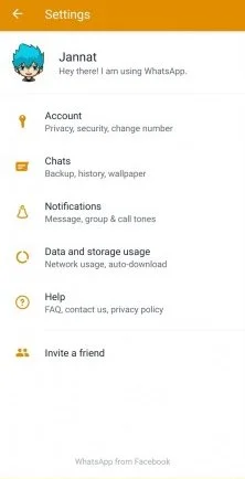 NS whatsapp download for free